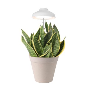 New Fashion Design for Kitchen Grow Light - TG003 5W LED Umbrella Microgreen Grow Light with Timer Inside Herb Garden Kit – J&C Lighting