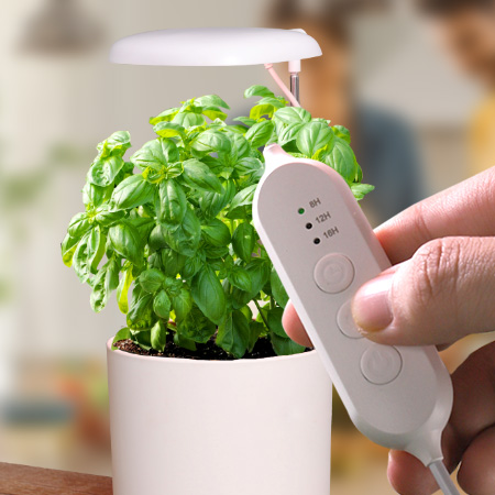 using grow lights for indoor plants