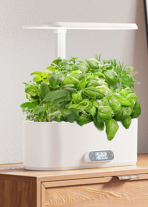Frequently Asked Questions on Indoor Hydroponic Vegetable Garden