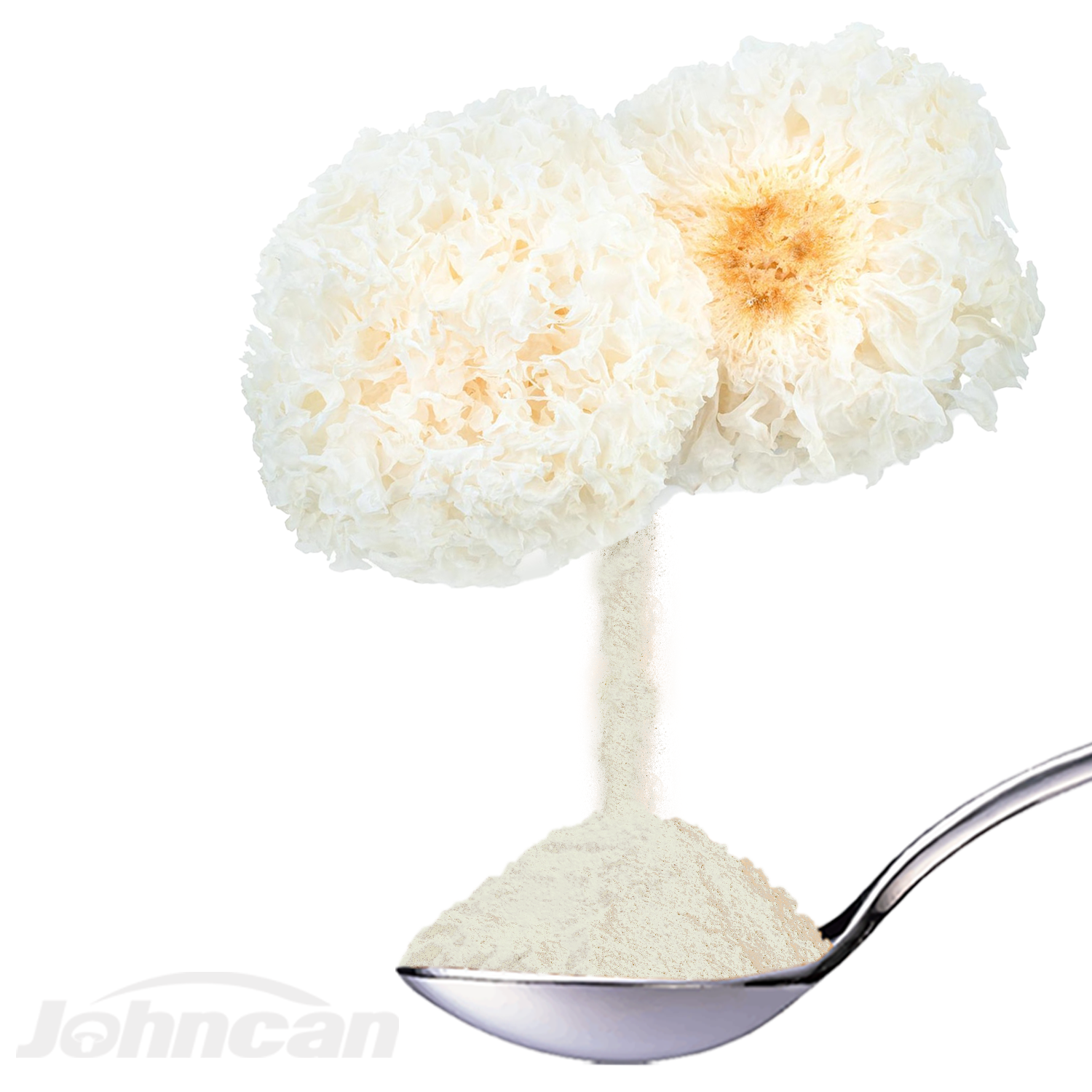 Factory Offer Private Label Herbal Mushroom Extract Powder Tremella Fuciformis, Snow Fungus