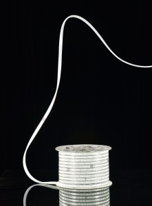 AC220V led flexible strip light 2835 180chips 10mm CRI 80 copper wire