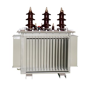 OEM Compact Switchgear Factory –  S10 series 11 kv class distribution transformer – Jonchn