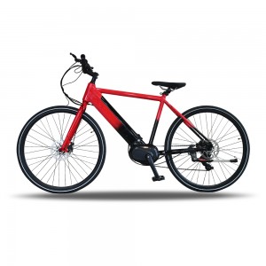 250W 36V Electric Bikes for Adults 27.5 Inch Mid Drive Mountain Electric Bike