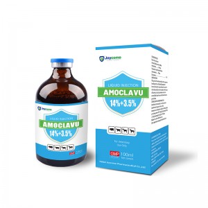 Wholesale Discount Tylosin Injection For Pigs - Amoxicillin and Clavulanate Suspension 14%+3.5% – Joycome