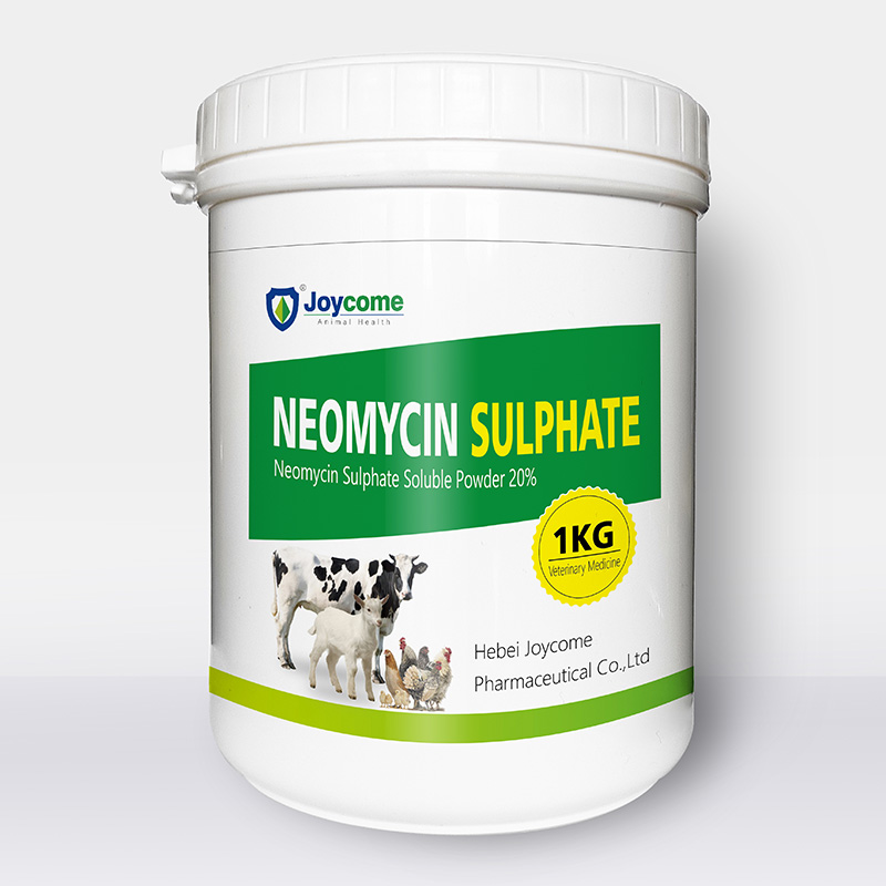 2022 Good Quality Colistin Sulfate Soluble Powder - Neomycin Sulphate Soluble Powder 20% – Joycome