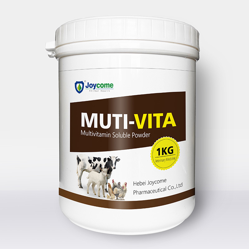 Hot sale Animal Pak Powder - Multivivitamin Soluble Powder animal feed supplement – Joycome