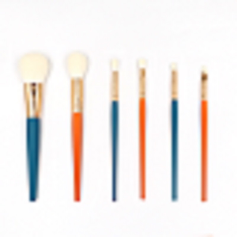 6pcs Makeup Brushes Set with package Premium Synthetic Foundation Brush Blending Face Powder Blush Concealer brush Featured Image
