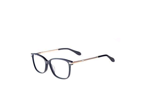 China Cheap price Designer Opticals – Joysee 2021 17404 metal temple eyeglasses, metal and acetate frame optical eyeglasses – Joysee