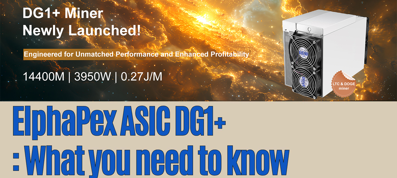 ElphaPex ASIC DG1+: What you need to know
