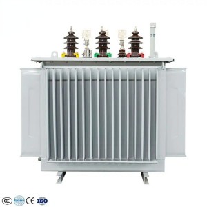 OEM Supply 11kv Oil Immersed Transformer - Factory Oil Immersed Transformer Power Distribution Transformer – FIRST POWER
