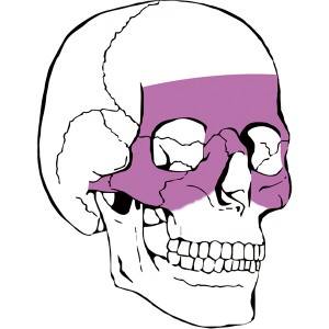 микропрямоугольная пластина для челюстно-лицевой травмы