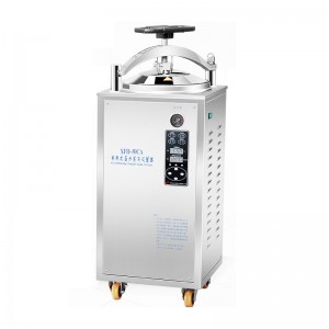 OEM/ODM Pressure Steam Sterilizer