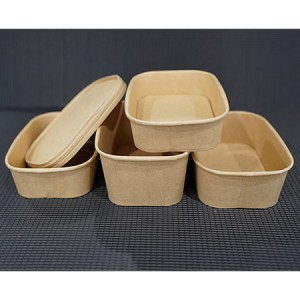 Eco Friendly Waterproof and Oil 100% Compostable Square Salad Bowls with Lid