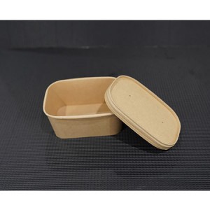Eco Friendly Waterproof and Oil 100% Compostable Square Rectangular Salad Bowls with Lid