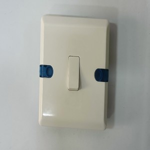 China wholesale Extension Cable With Switch Pricelist –  British Wall Switch Socket F Series – Juke