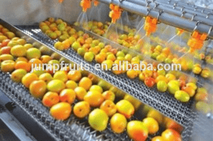 Dehydrated Vegetable Processing Dried Fruit Production Line For Apricot