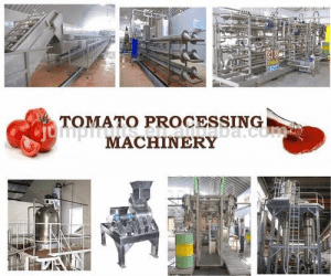 Automatic Tomato Ketchup / Paste Production Line
