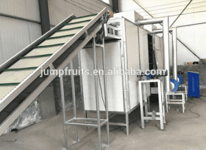 Dehydrated Vegetable Processing Dried Fruit Production Line For Apricot