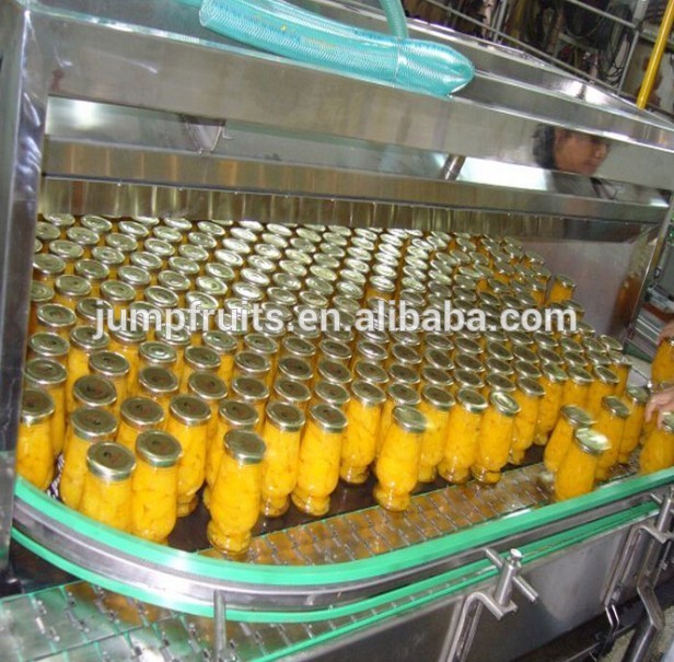 Canned Fruits production line/Automatic Canned pickles and pickled cucumber Making Machine
