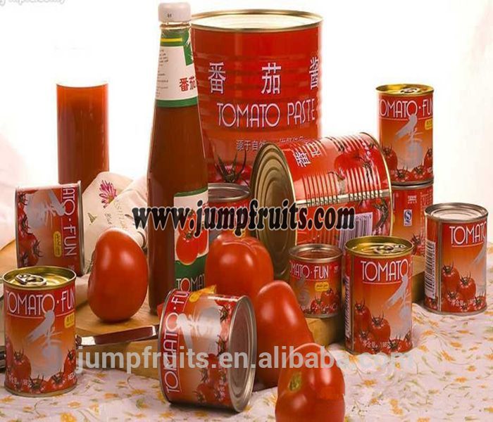 Canned tomato paste/ sauce/ paste