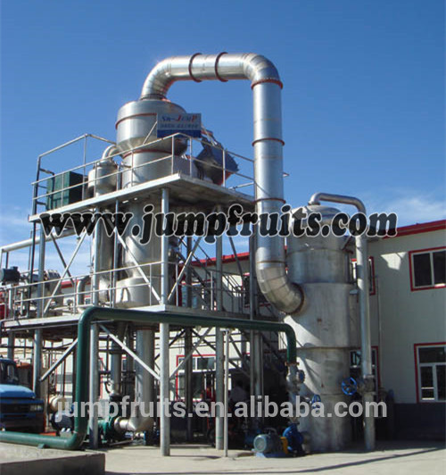 Small Automatic Factory price Tomato Paste Production Line