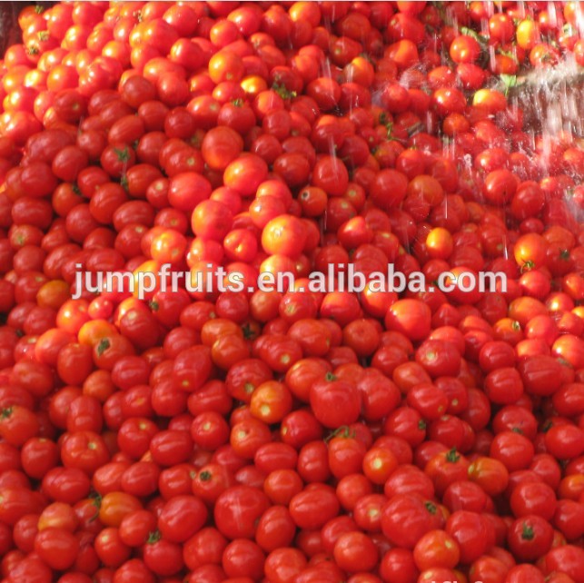 Factory price chinese tomato paste processing line in high output