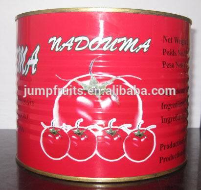 Canned tomato paste / tomato sauce / tomato ketchup with high quality