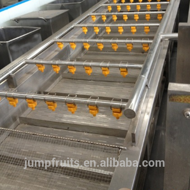 2-50T Capacity Fruit And Vegetable Cleaning Washing And Sorting Machine