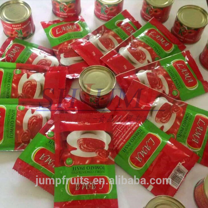 tomato ketchup / sauce / powder production line