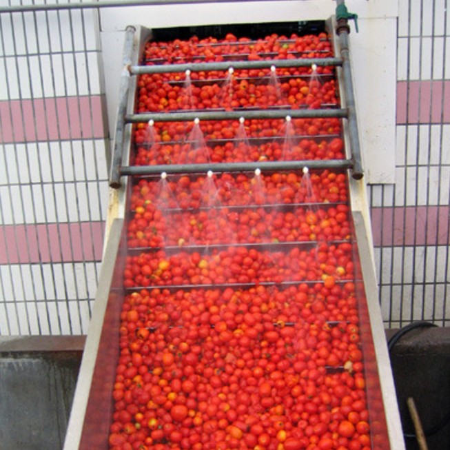 TOMATO PASTE/SAUCE in can/aseptic bag barrel from factory price China Xinjiang tomato plant