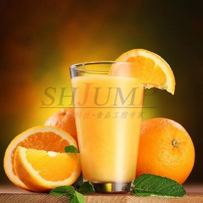 Commercial stainless steel auto orange juicer extractor machine