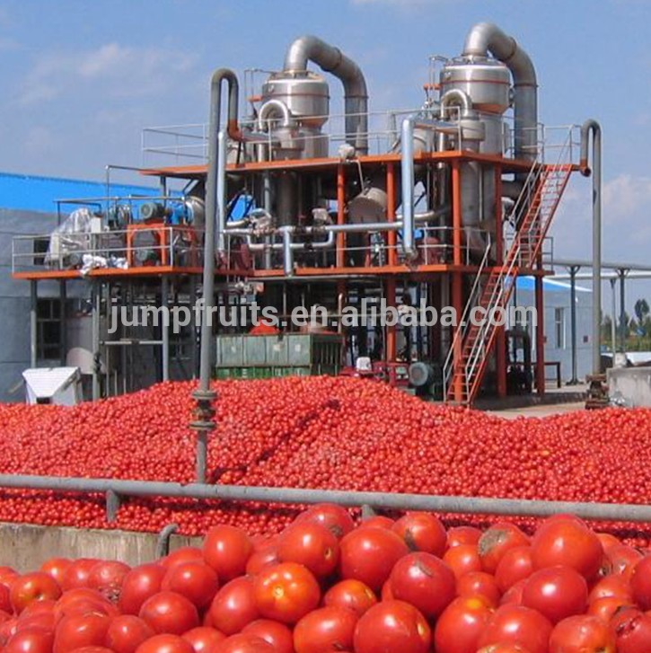 Turnkey entire line of automatic tomato paste processing machine