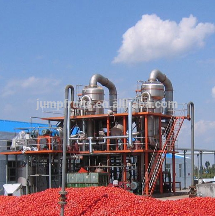 Red Color and Drum Packaging tomato paste factory / Tomato Paste in drum/Double Concentrated Tomato Paste
