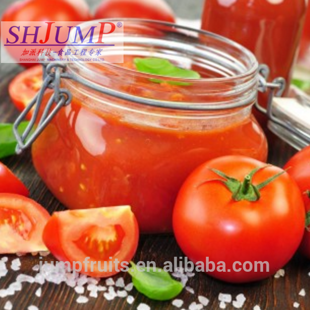 Good Taste 70G sachet tomato sauce in pouches of top quality factory