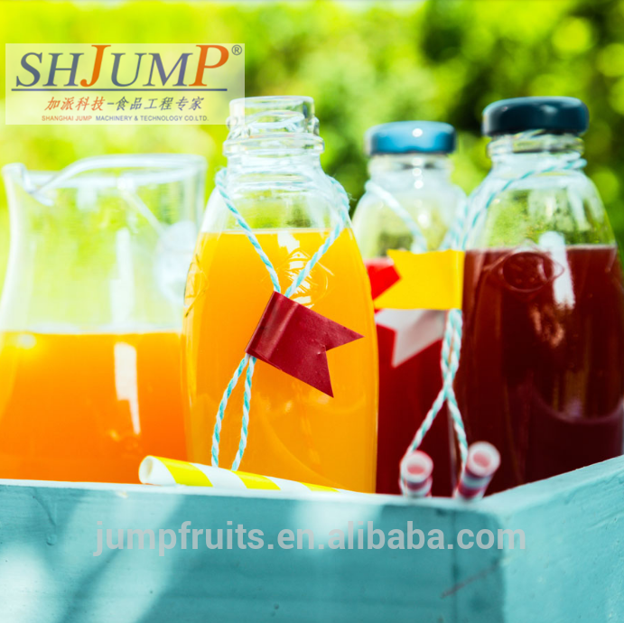 High definition Coconut Juice Processing Machine - Pineapple Orange Fresh Fruit Concentrate Juice  Making Machine – JUMP