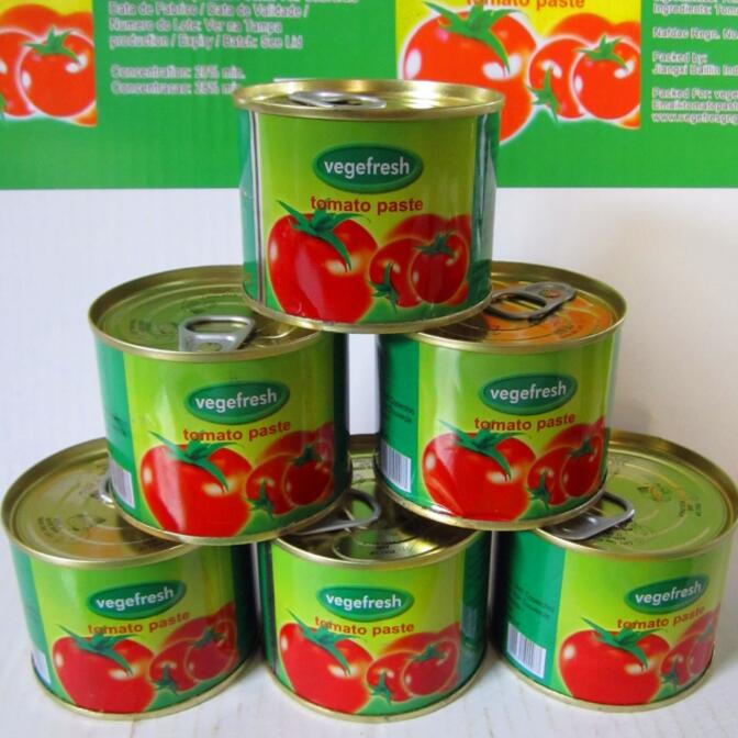 Tin canned food tomato paste with OEM brands