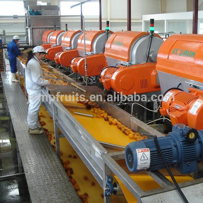 Commercial automatic can orange juicer machine is food & beverage industry