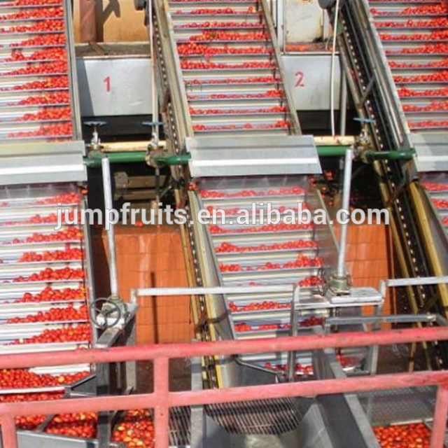 Tropical fruit jam production line fruit sauce making machinery