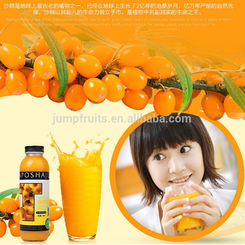 OEM Supply Concentration Equipment - 100% Natural Industrial Seabuckthorn Juice Press Machine With Retaining High VC – JUMP