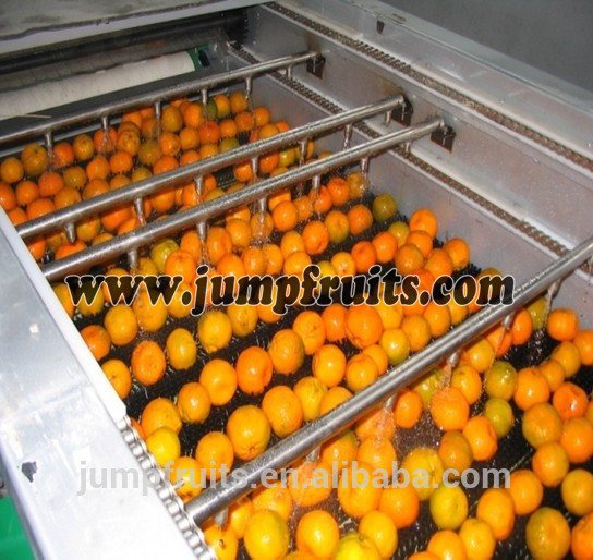 Industrial Fruit & Vegetable Washing Cleaning Machine