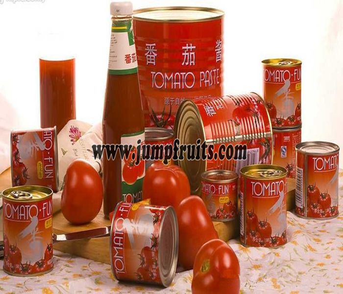 High Quality Canned Tomato Paste Tomato Ketchup