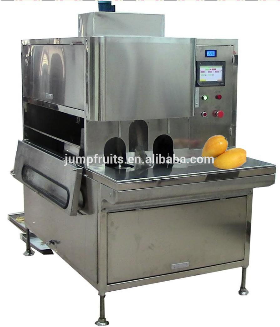 Industrial Pineapple Slicer Machine