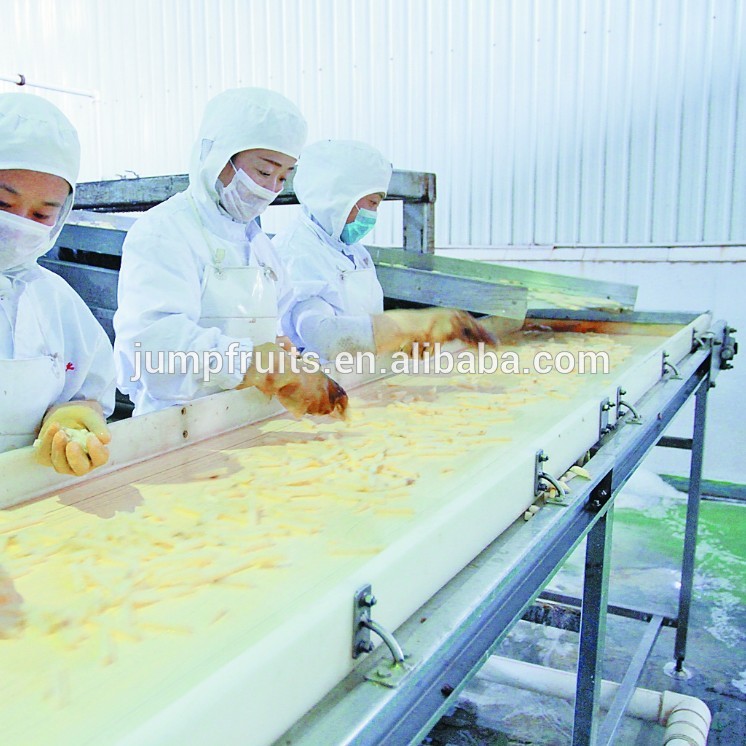 Professional Design Yogurt Equipment - Industrial Frozen Potato Chips Food Processor – JUMP