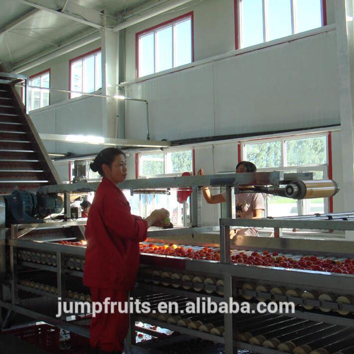 CHINA Automatic tomato sauce  pouch,can packing  production line , tomato paste making machine