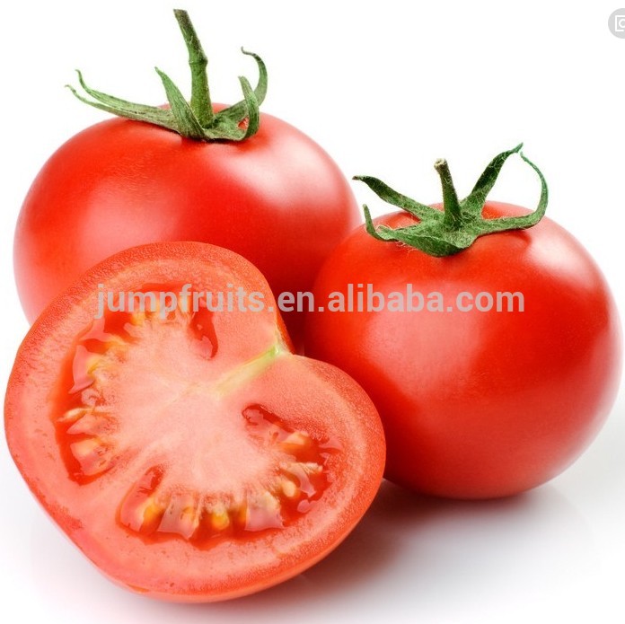 Supplying Virus Resistance type f1 hybrid tomato seeds from china