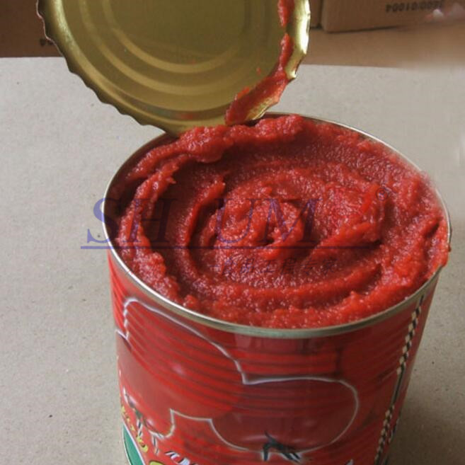 pomo salsa tomato paste manufacturers usa