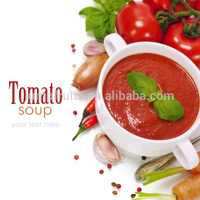 Manufacturer tomato paste factory machines with price