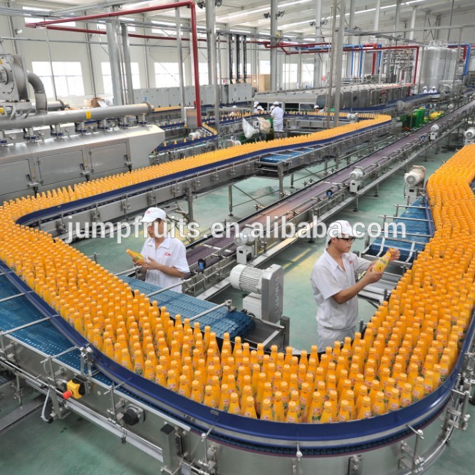 Automatic Stainless Steel Pineapple Juice Processing Machines