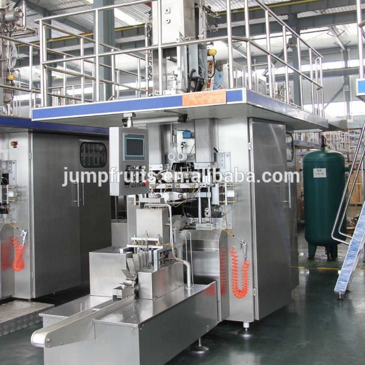 Full automatic drum aseptic BIB bag filling machine with double or single filling heads