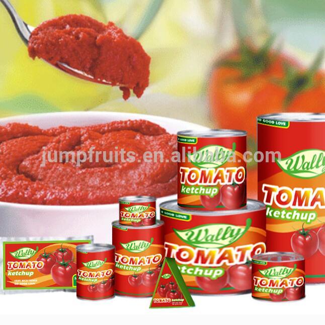Halal 24X400g Canned 28-30% Tomato Paste
